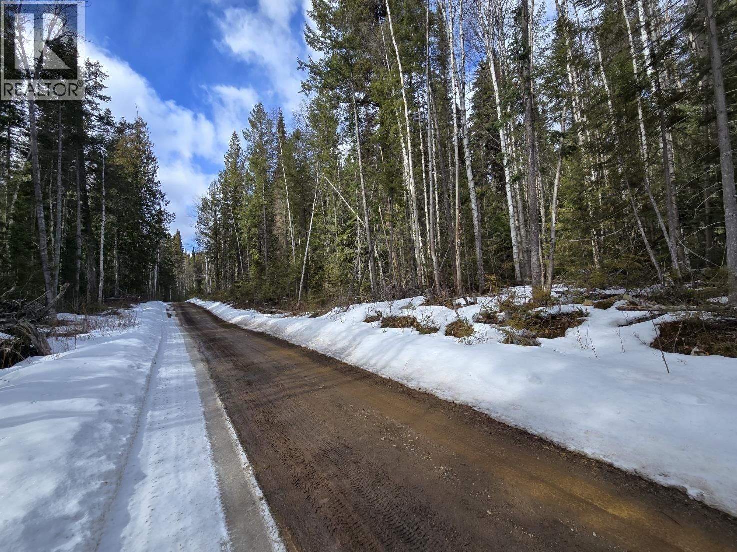 DL11492 QUESNEL LAKE Image 7