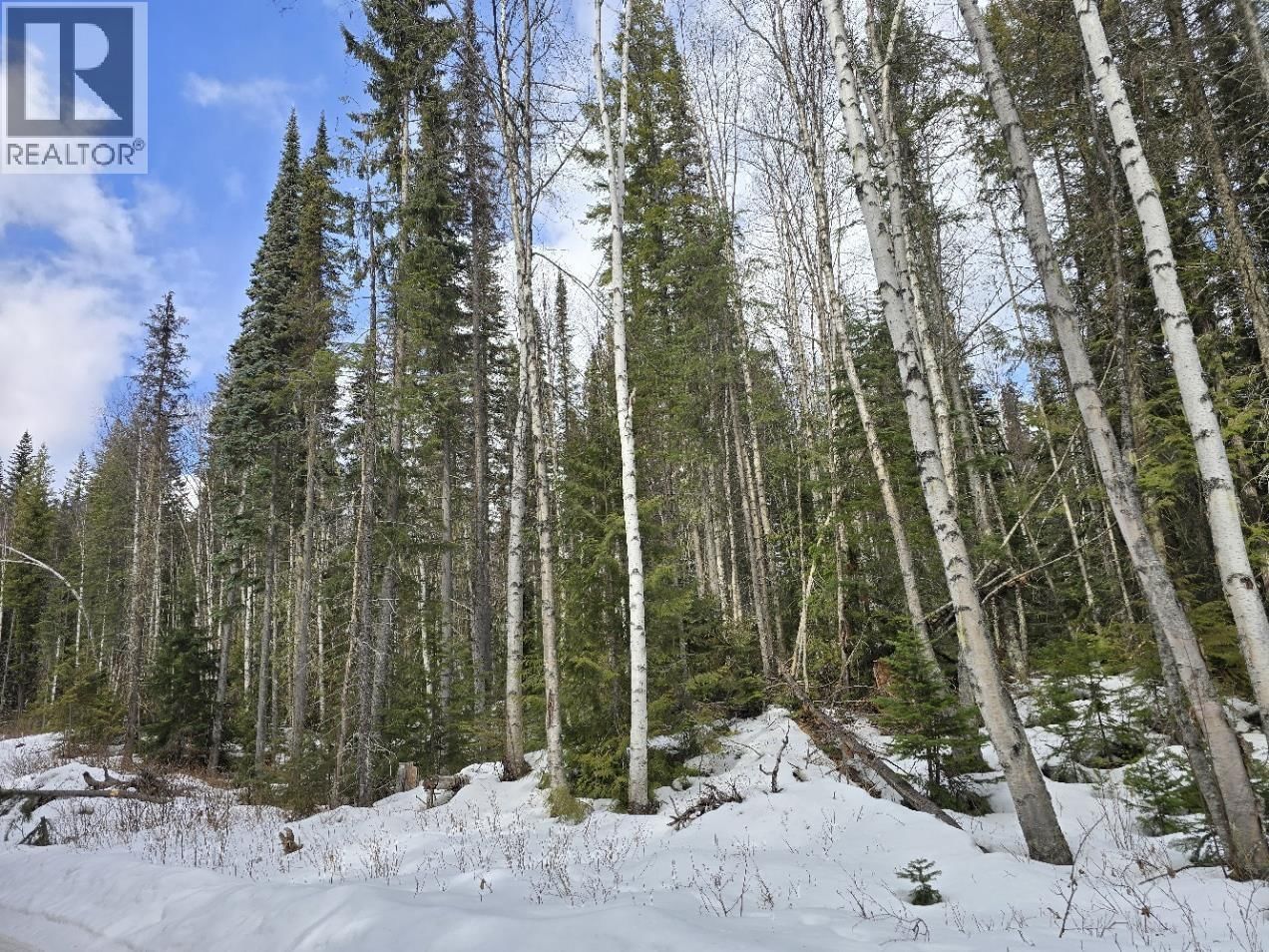 DL11492 QUESNEL LAKE Image 8