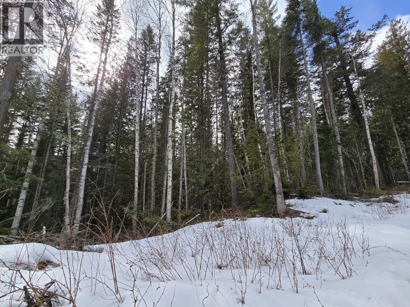 DL11492 QUESNEL LAKE Image 9