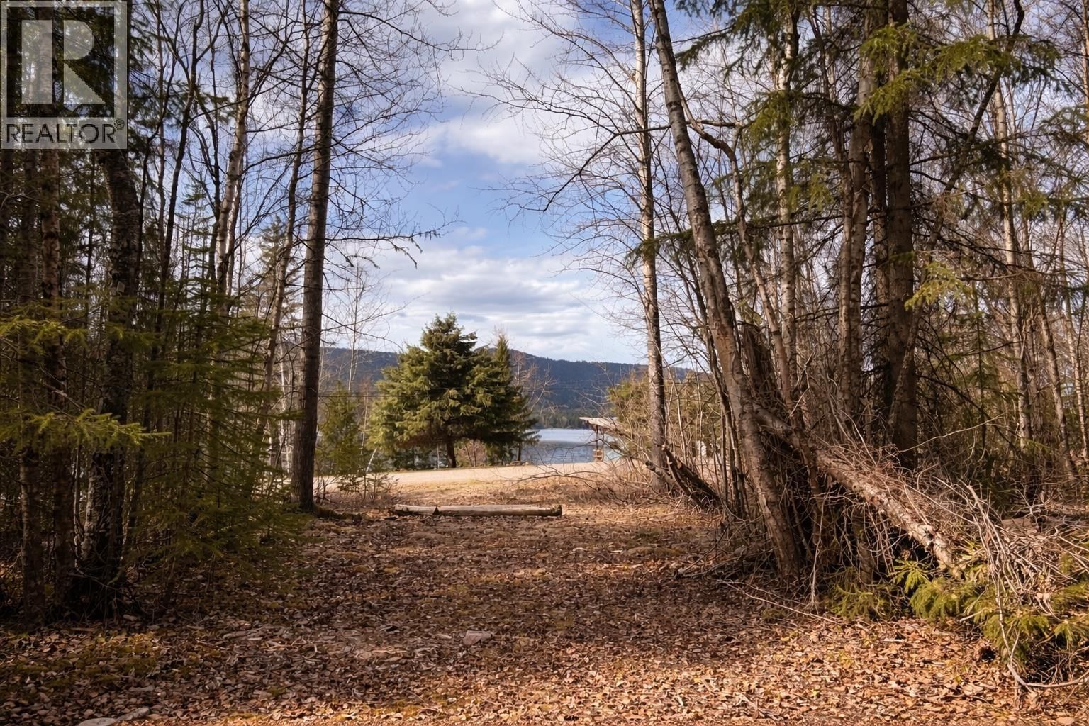 Lot 1 CANIM LAKE ROAD Image 6