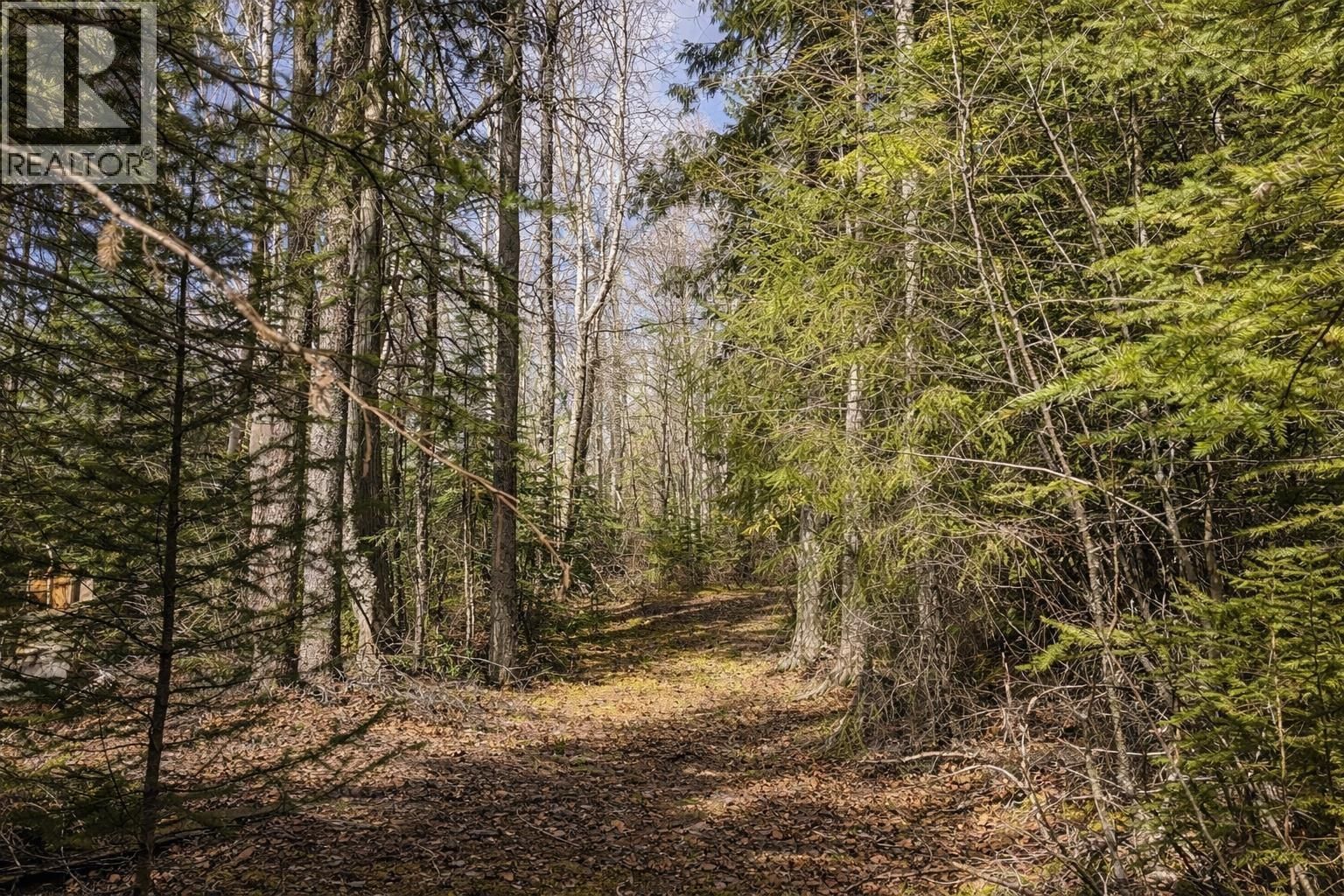 Lot 1 CANIM LAKE ROAD Image 9