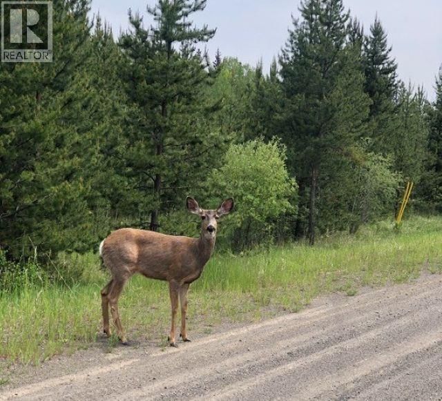 LOT 2 - 5916 LITTLE FORT 24 HIGHWAY Image 2