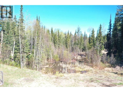 3865 BLUE RIDGE Road | Quesnel British Columbia | Slide Image Ten