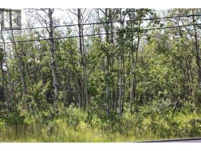 LOT 2 ROSE PRAIRIE Road | Fort St. John British Columbia | Slide Image Seven