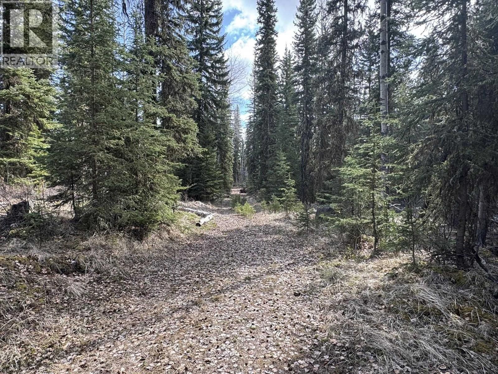 LOT - 1 LITTLE HOLDEN LAKE Image 15