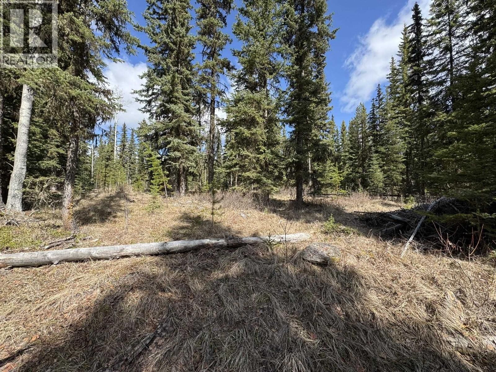 LOT - 1 LITTLE HOLDEN LAKE Image 16