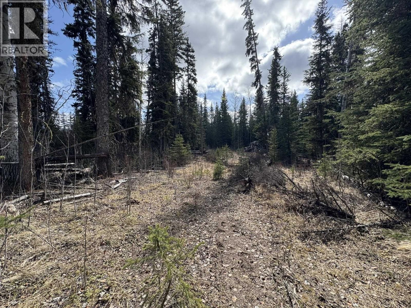 LOT - 1 LITTLE HOLDEN LAKE Image 17
