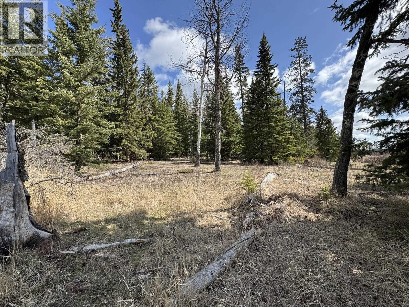 LOT - 1 LITTLE HOLDEN LAKE Image 9