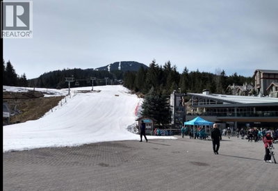 4050 WHISTLER Way | Whistler British Columbia | Slide Image Nine