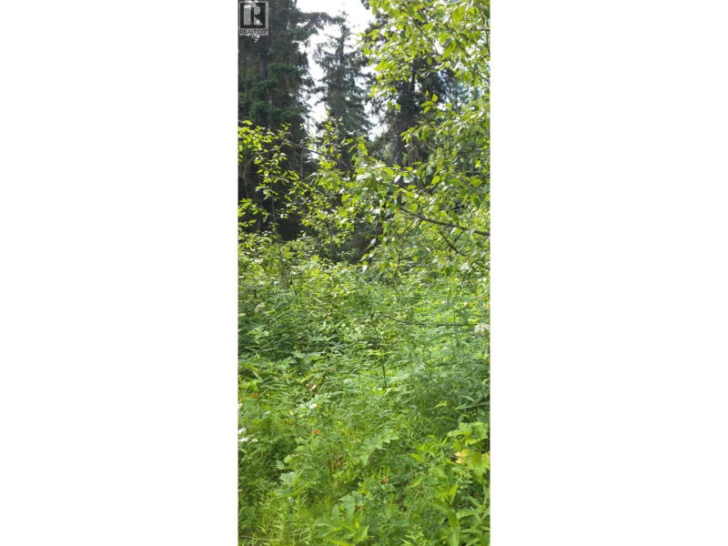 Lot 2 CHIEF LAKE PO Road Prince George British Columbia, V2K 5P9 - Vacant Land For Sale