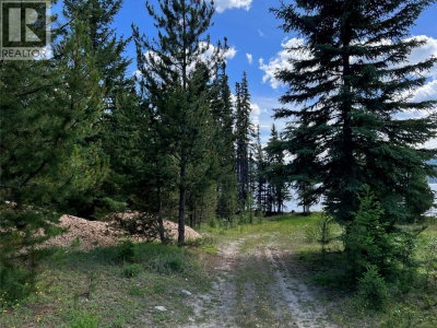 9888 BONAPARTE SPUR FOREST SERVICE Road | Bridge Lake British Columbia | Slide Image Twenty-six