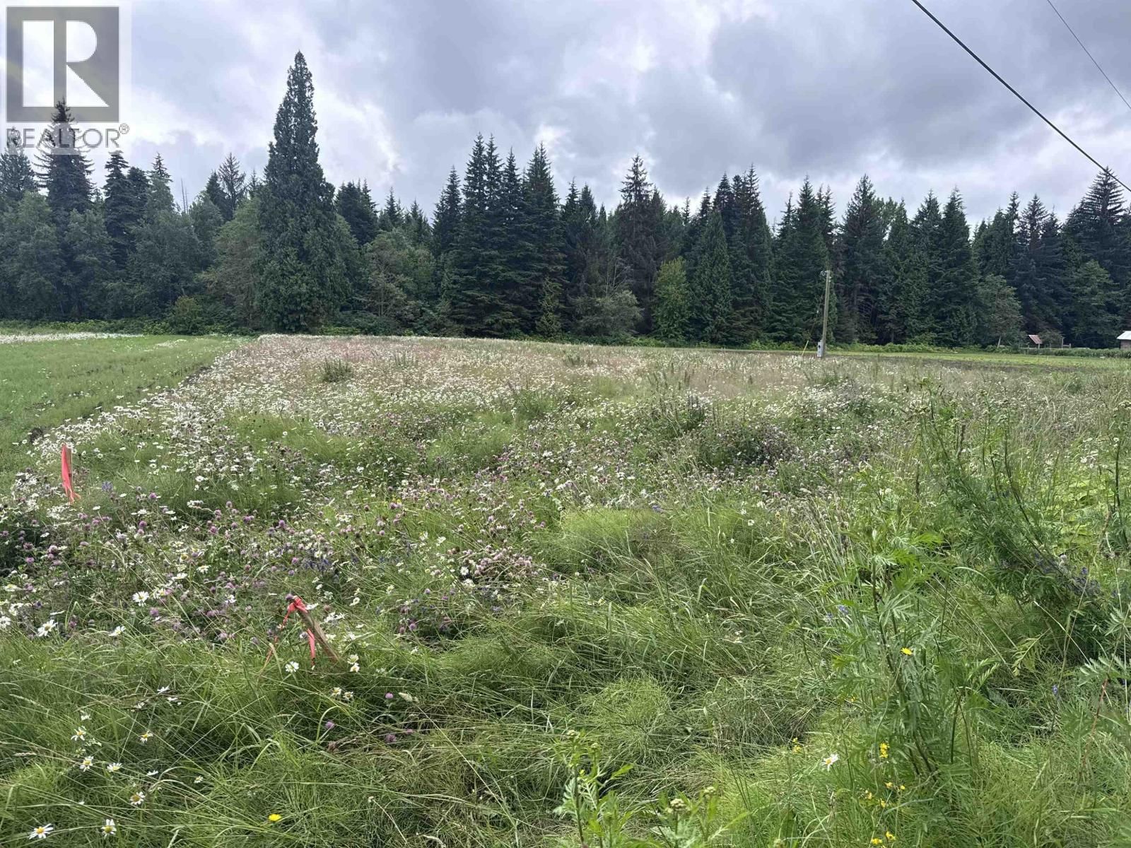 LOT F OLD REMO Road, Terrace, British Columbia V8G 0E5