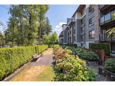15351 101 Avenue | Surrey British Columbia | Slide Image Thirty