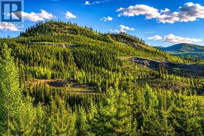 3456 FORESTRY Road | Quesnel British Columbia | Slide Image Six
