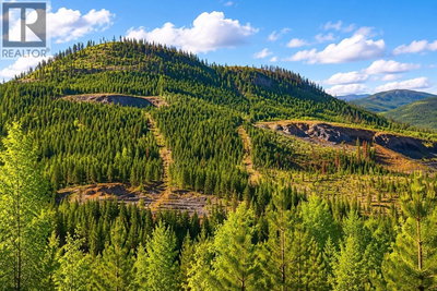 3456 FORESTRY Road | Quesnel British Columbia | Slide Image Seven