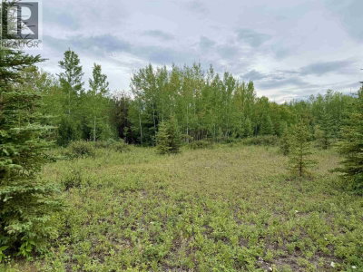 14509 SACKNER Road | Vanderhoof British Columbia | Slide Image Eleven