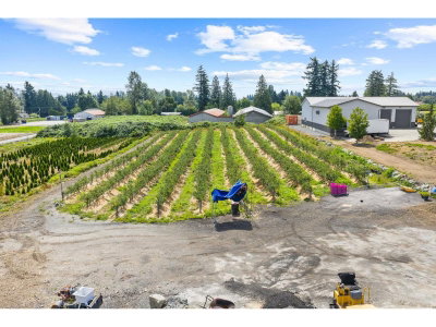 29852 MACLURE Road | Abbotsford British Columbia | Slide Image Thirty-four