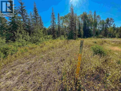 A YELICH Road | Smithers British Columbia | Slide Image Nine