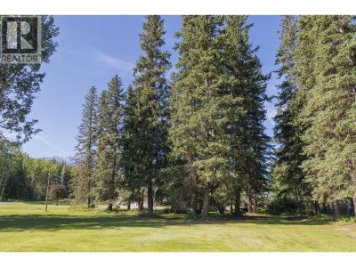 849 BRIDGE Road | McBride British Columbia | Slide Image Eight