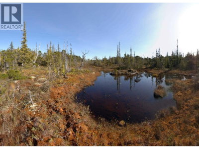 1303 GOBLE Point | Prince Rupert British Columbia | Slide Image Nineteen