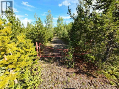 F TIBBLES Road | Quesnel British Columbia | Slide Image Seven