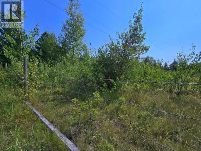 5031 HORSEFLY Road | Horsefly British Columbia | Slide Image Nine