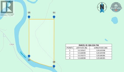  POB FSR/MORKILL FS Road | Dome Creek British Columbia | Slide Image Thirty-three