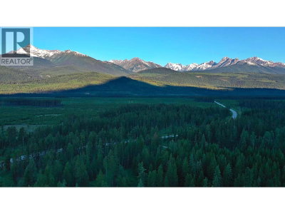 4 CROOKED CREEK Road | Valemount British Columbia | Slide Image Three