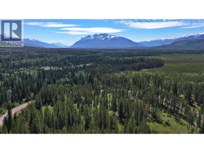 4 CROOKED CREEK Road | Valemount British Columbia | Slide Image Four