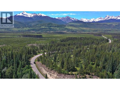 4 CROOKED CREEK Road | Valemount British Columbia | Slide Image Five