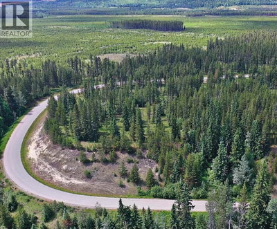 4 CROOKED CREEK Road | Valemount British Columbia | Slide Image Six