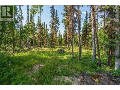 52495 GUEST Road | Cluculz Lake British Columbia | Slide Image Thirty-eight