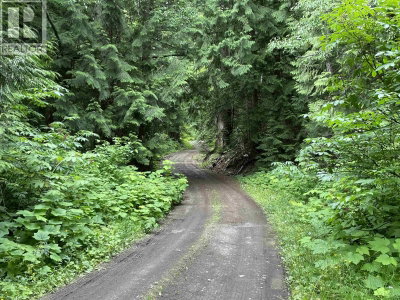 830 CEDARVALE KITWANGA BACK Road | Kitwanga British Columbia | Slide Image Three