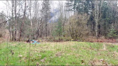 21437 HAIG STATION Road | Hope British Columbia | Slide Image Twelve