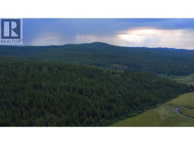8351 TZENZAICUT LAKE FOREST SERVICE Road | Quesnel British Columbia | Slide Image Nine