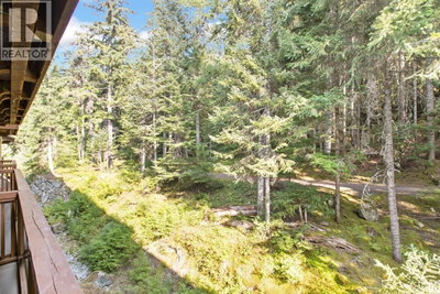 4653 BLACKCOMB Way | Whistler British Columbia | Slide Image Six