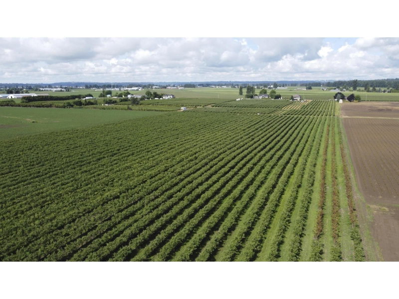 7121 BEHARRELL Road Abbotsford British Columbia, A9A 9A9 - Vacant Land For Sale