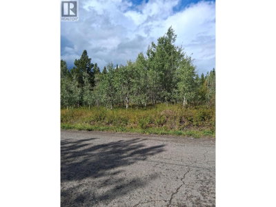 23512 HOWELLS Road | Topley British Columbia | Slide Image Eleven