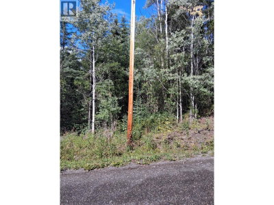 23336 HOWELLS Road | Topley British Columbia | Slide Image Three
