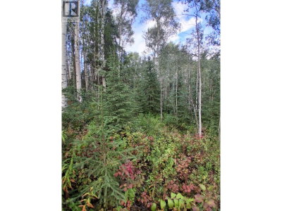 23336 HOWELLS Road | Topley British Columbia | Slide Image Seven