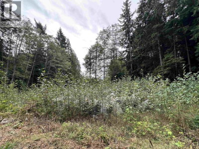 1815 LOWER Road | Roberts Creek British Columbia | Slide Image Two