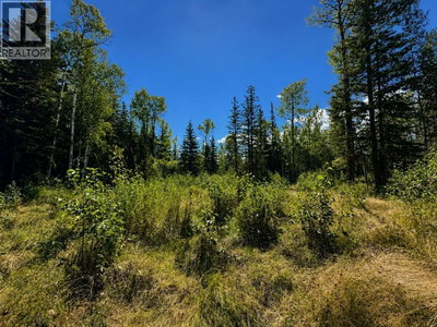 5 AIRPORT Road | McBride British Columbia | Slide Image One