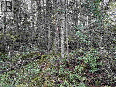 LOT B FRANCIS PENINSULA Road | Madeira Park British Columbia | Slide Image Nineteen