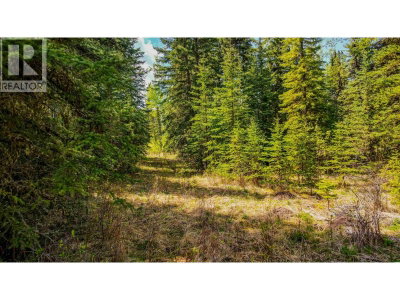 11 PEGASUS Road | Horse Lake British Columbia | Slide Image Two