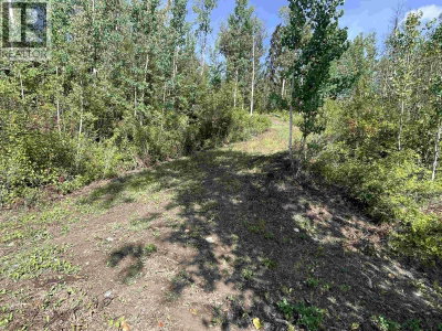 4 VIEWMOUNT Road | Smithers British Columbia | Slide Image Ten