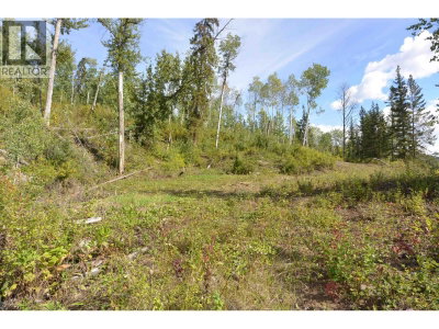 4 VIEWMOUNT Road | Smithers British Columbia | Slide Image Seventeen