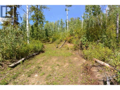4 VIEWMOUNT Road | Smithers British Columbia | Slide Image Nine