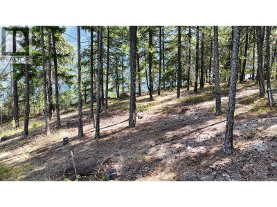 3170 PONDEROSA Road | Pemberton British Columbia | Slide Image Twenty-four