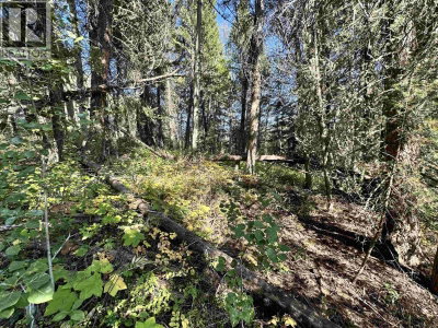 103 JULSRUD Road | Deka Lake / Sulphurous / Hathaway Lakes British Columbia | Slide Image Twelve