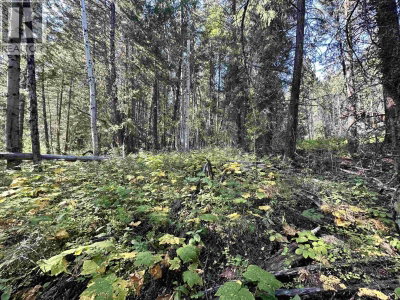 103 JULSRUD Road | Deka Lake / Sulphurous / Hathaway Lakes British Columbia | Slide Image Thirteen